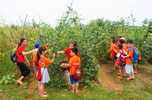 Nhật ký Trại hè Vicschool 2019: Thanh Hà Farm: Một ngày hành quân – tập làm nông dân